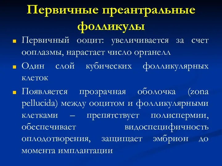 Первичные преантральные фолликулы Первичный ооцит: увеличивается за счет ооплазмы, нарастает число