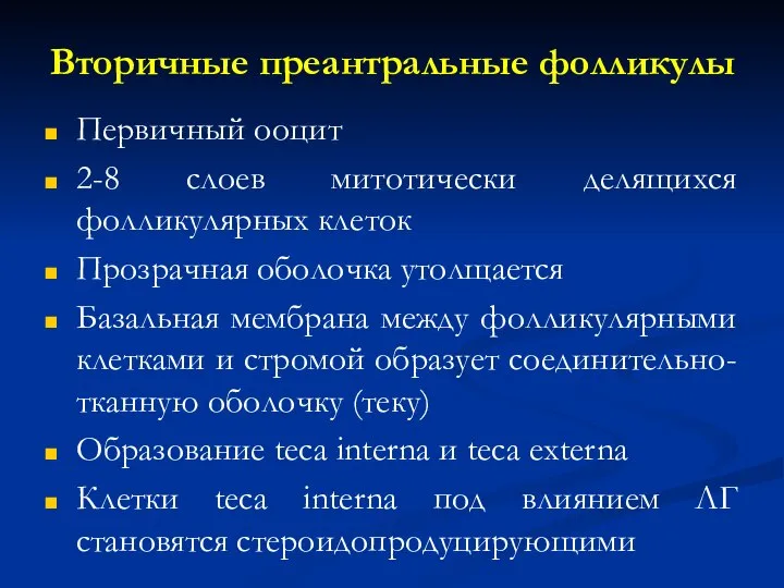 Вторичные преантральные фолликулы Первичный ооцит 2-8 слоев митотически делящихся фолликулярных клеток