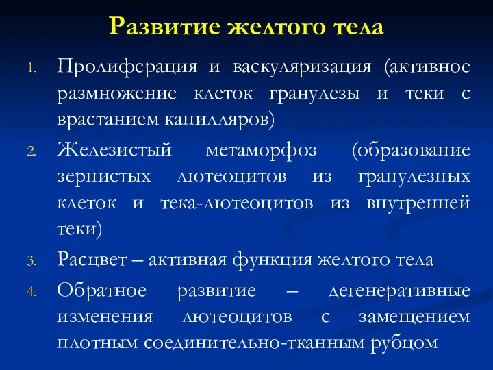 Развитие желтого тела Пролиферация и васкуляризация (активное размножение клеток гранулезы и