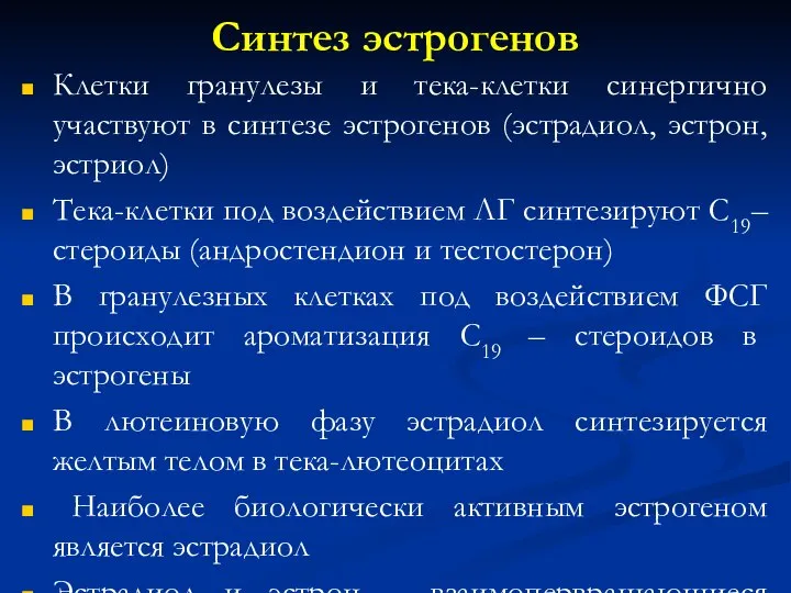 Синтез эстрогенов Клетки гранулезы и тека-клетки синергично участвуют в синтезе эстрогенов