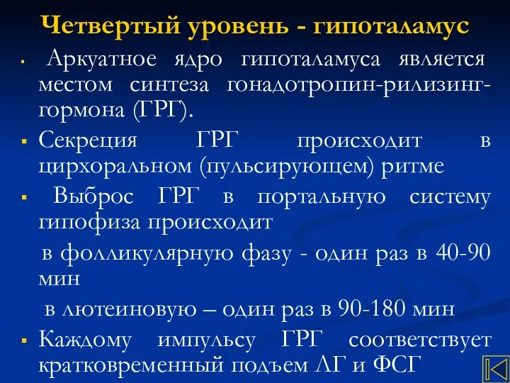 Четвертый уровень - гипоталамус Аркуатное ядро гипоталамуса является местом синтеза гонадотропин-рилизинг-гормона