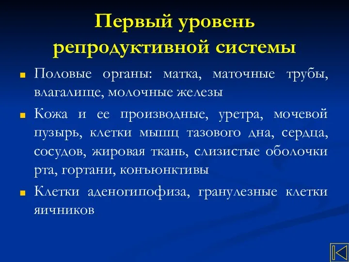 Первый уровень репродуктивной системы Половые органы: матка, маточные трубы, влагалище, молочные