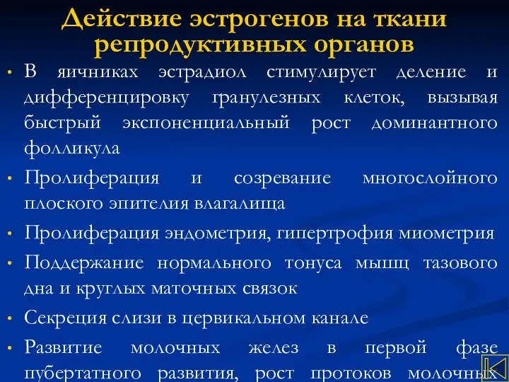 Действие эстрогенов на ткани репродуктивных органов В яичниках эстрадиол стимулирует деление