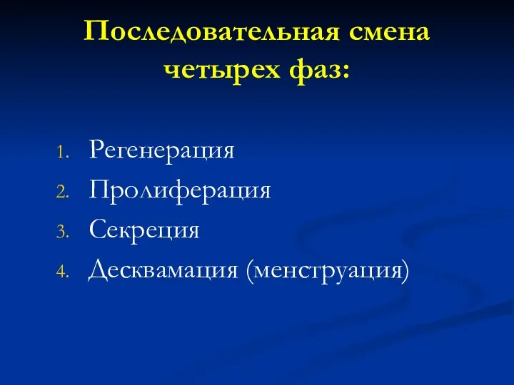 Последовательная смена четырех фаз: Регенерация Пролиферация Секреция Десквамация (менструация)