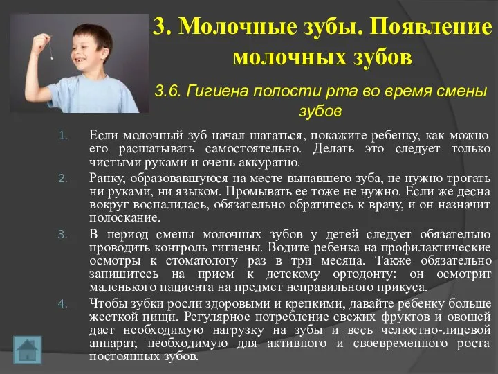 3. Молочные зубы. Появление молочных зубов 3.6. Гигиена полости рта во