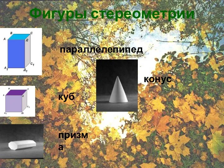 Параллелепипед Куб Фигуры стереометрии параллелепипед куб призма конус