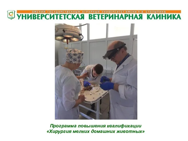 Программа повышения квалификации «Хирургия мелких домашних животных»