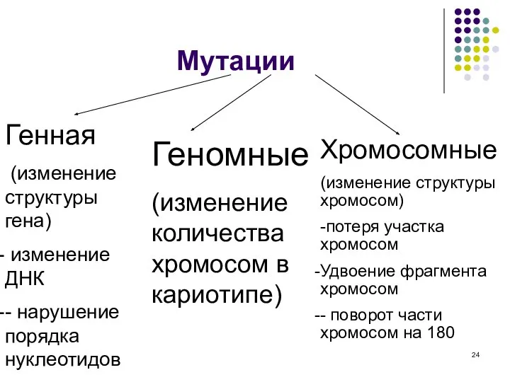 Мутации Генная (изменение структуры гена) изменение ДНК - нарушение порядка нуклеотидов