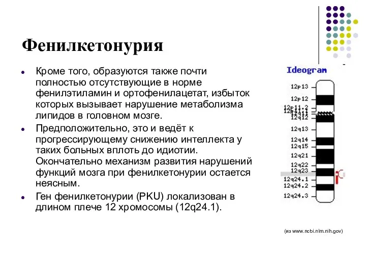 Фенилкетонурия Кроме того, образуются также почти полностью отсутствующие в норме фенилэтиламин