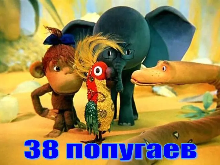 38 попугаев