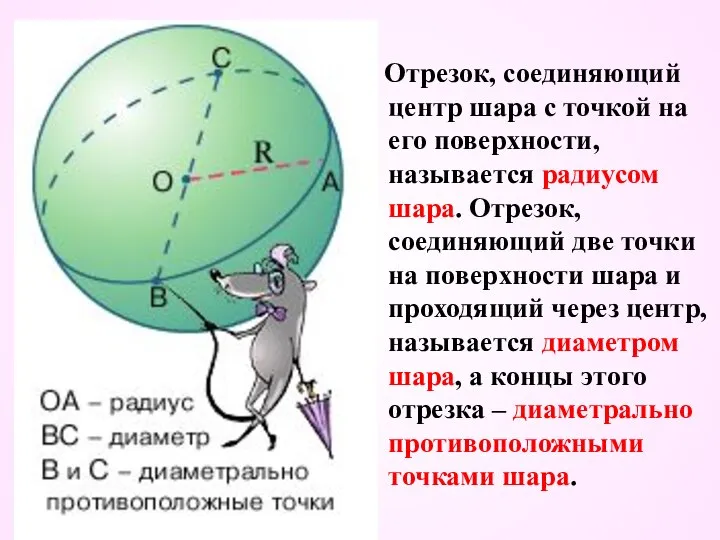 Отрезок, соединяющий центр шара с точкой на его поверхности, называется радиусом