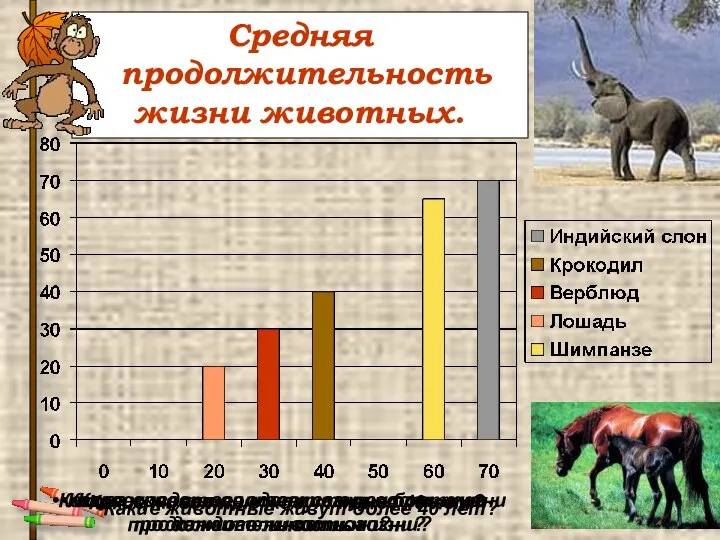 Средняя продолжительность жизни животных. Какова средняя продолжительность жизни каждого животного? Какое