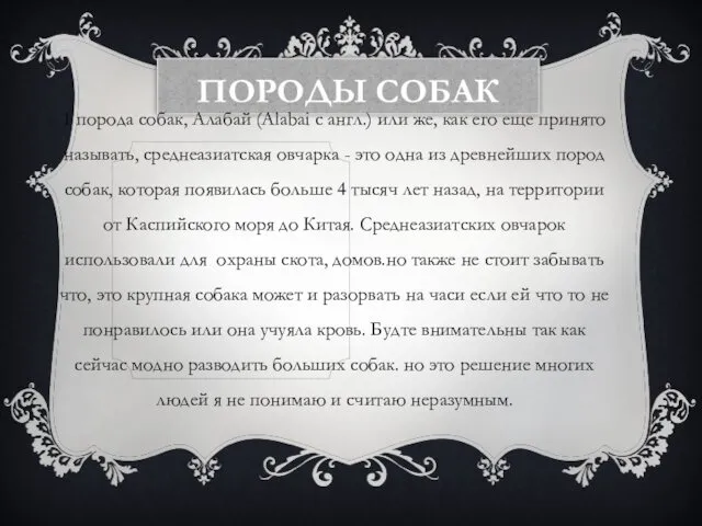 ПОРОДЫ СОБАК 1 порода собак, Алабай (Alabai с англ.) или же,