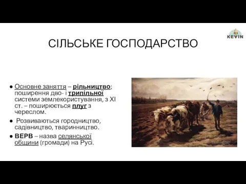 СІЛЬСЬКЕ ГОСПОДАРСТВО Основне заняття – рільництво; поширення дво- і трипільної системи