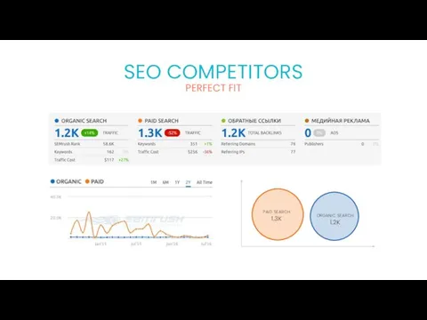 SEO COMPETITORS paid search 1.3K organic search 1.2K PERFECT FIT