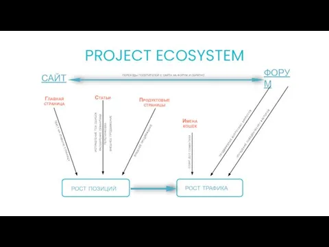 PROJECT ECOSYSTEM САЙТ ФОРУМ рост позиций рост трафика Главная страница Продуктовые