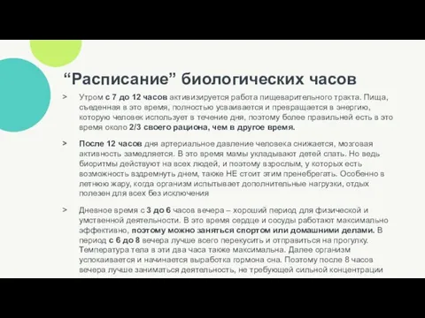 “Расписание” биологических часов Утром с 7 до 12 часов активизируется работа