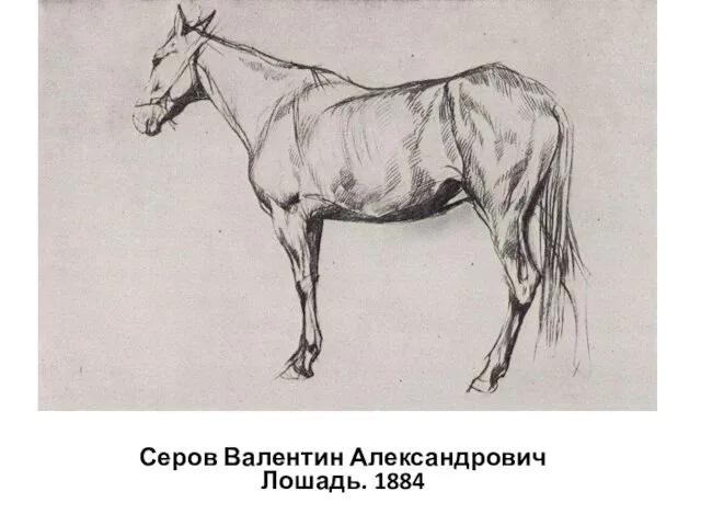 Серов Валентин Александрович Лошадь. 1884