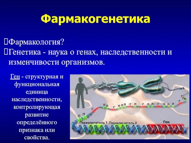 Фармакогенетика Фармакология? Генетика - наука о генах, наследственности и изменчивости организмов.