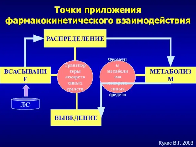 ВСАСЫВАНИЕ РАСПРЕДЕЛЕНИЕ МЕТАБОЛИЗМ ВЫВЕДЕНИЕ Транспортеры лекарственных средств Ферменты метаболизма лекарственных средств