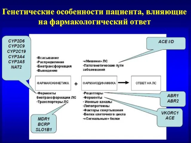 Генетические особенности пациента, влияющие на фармакологический ответ