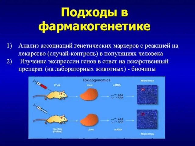 Подходы в фармакогенетике Анализ ассоциаций генетических маркеров с реакцией на лекарство