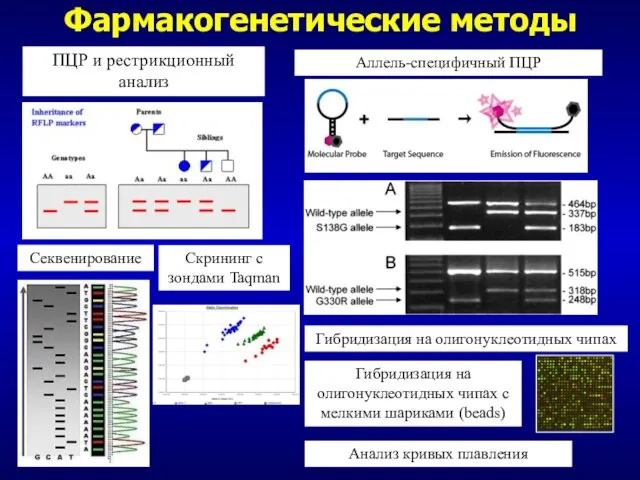 Фармакогенетические методы ПЦР и рестрикционный анализ Аллель-специфичный ПЦР Секвенирование Скрининг с