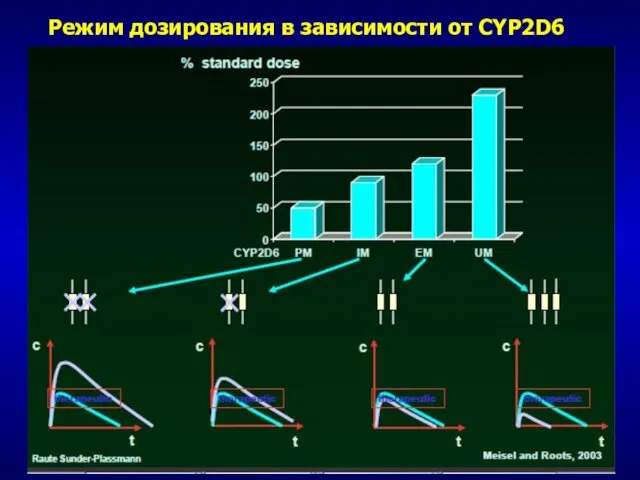 Режим дозирования в зависимости от CYP2D6