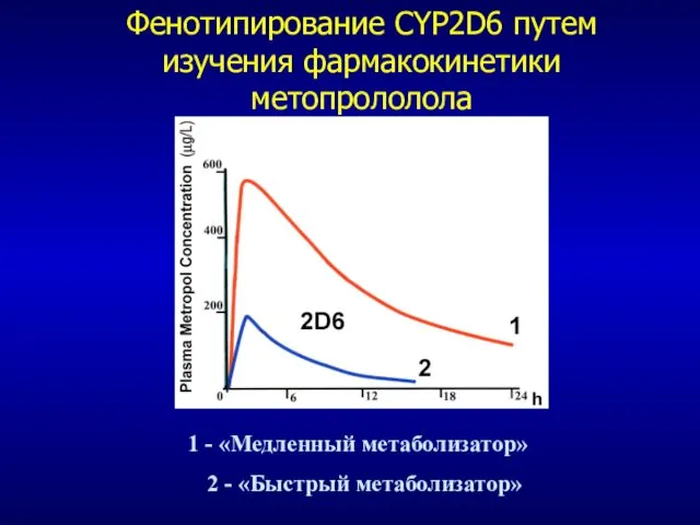 Фенотипирование CYP2D6 путем изучения фармакокинетики метопрололола 1 - «Медленный метаболизатор» 2 - «Быстрый метаболизатор»