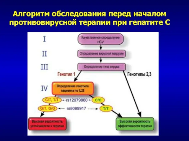 Алгоритм обследования перед началом противовирусной терапии при гепатите С