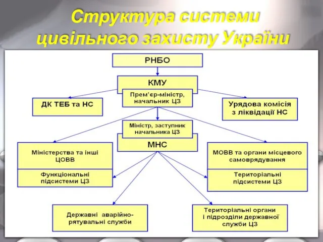 Структура системи цивільного захисту України