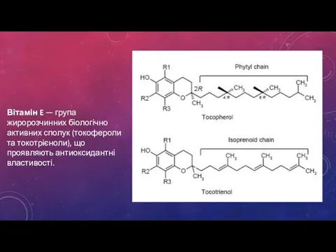 Вітамін E — група жиророзчинних біологічно активних сполук (токофероли та токотрієноли), що проявляють антиоксидантні властивості.
