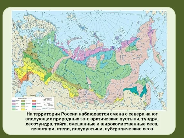 На территории России наблюдается смена с севера на юг следующих природных