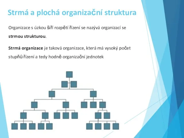 Strmá a plochá organizační struktura Organizace s úzkou šíří rozpětí řízení