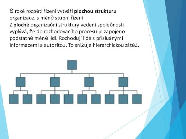 Široké rozpětí řízení vytváří plochou strukturu organizace, s méně stupni řízení