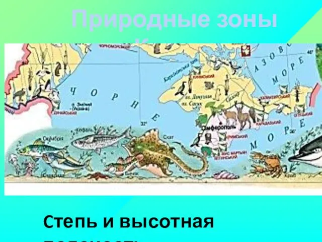 Природные зоны Крыма Cтепь и высотная поясность