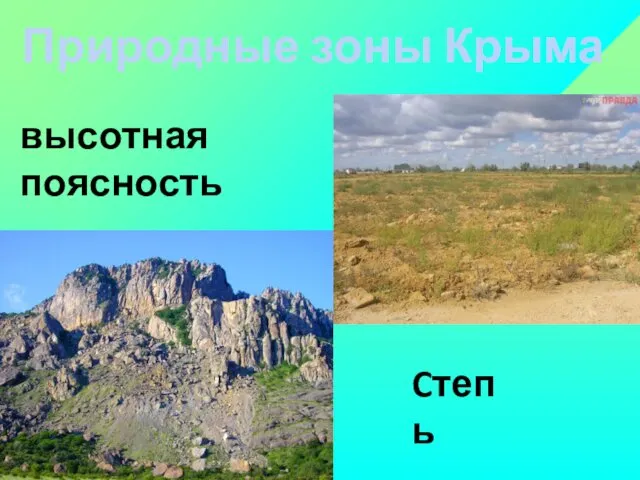 Природные зоны Крыма Cтепь высотная поясность