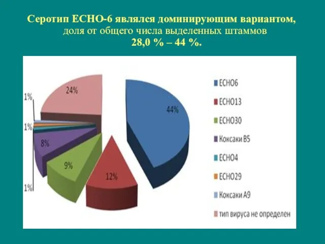 Серотип ЕСНО-6 являлся доминирующим вариантом, доля от общего числа выделенных штаммов 28,0 % – 44 %.