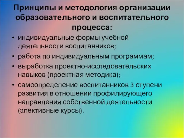 Принципы и методология организации образовательного и воспитательного процесса: индивидуальные формы учебной