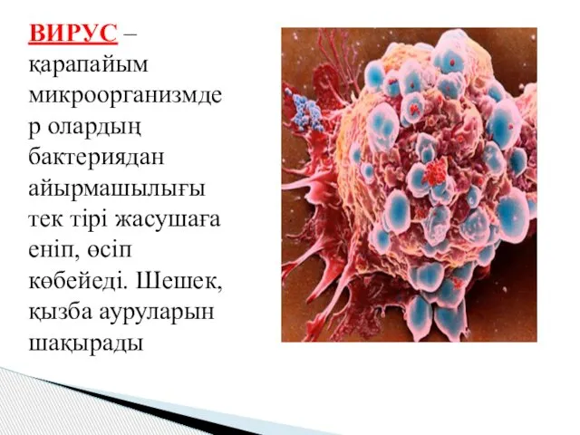 ВИРУС – қарапайым микроорганизмдер олардың бактериядан айырмашылығы тек тірі жасушаға еніп,