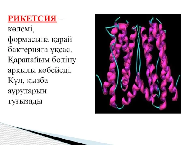 РИКЕТСИЯ – көлемі, формасына қарай бактерияға ұқсас. Қарапайым бөліну арқылы көбейеді. Күл, қызба ауруларын туғызады