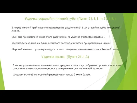 Уздечка верхней и нижней губы (Пункт 21.1.1. и 21.1.2.) В норме