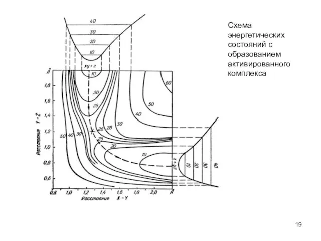 Схема энергетических состояний с образованием активированного комплекса