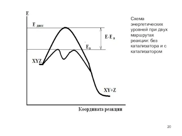 Схема энергетических уровней при двух маршрутах реакции: без катализатора и с катализатором