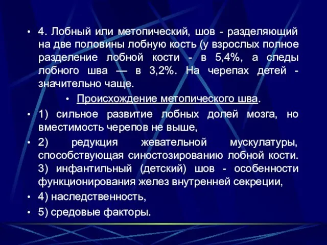 4. Лобный или метопический, шов - разделяющий на две половины лобную