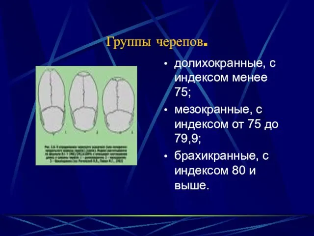 Группы черепов. долихокранные, с индексом менее 75; мезокранные, с индексом от