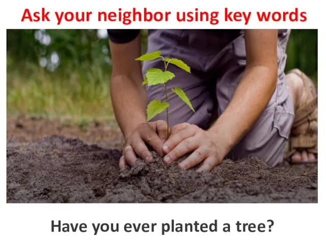Ask your neighbor using key words to plant a tree Have you ever planted a tree?