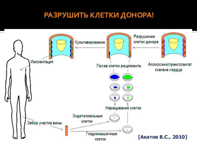 РАЗРУШИТЬ КЛЕТКИ ДОНОРА! [Акатов В.С., 2010]