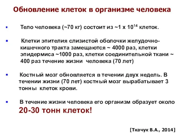 Обновление клеток в организме человека Тело человека (~70 кг) состоит из