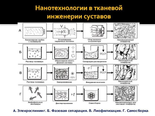 Нанотехнологии в тканевой инженерии суставов А. Элекроспининг. Б. Фазовая сепарация. В. Лиофилизация. Г. Самосборка.